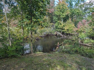The Huron River at the back of the lot, with Huron Metropark woods on the far bank